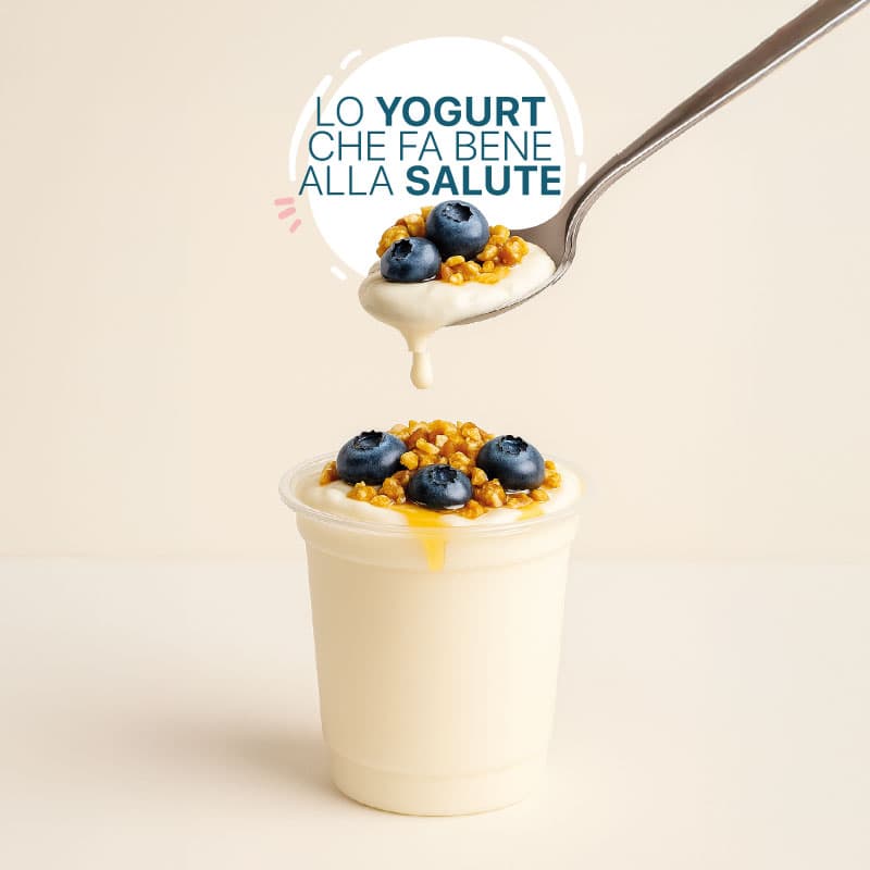 Gelateria artigianale la Glacia chieti centro